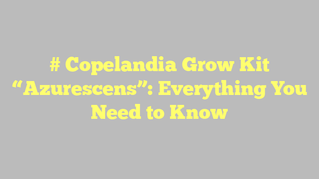 # Copelandia Grow Kit “Azurescens”: Everything You Need to Know