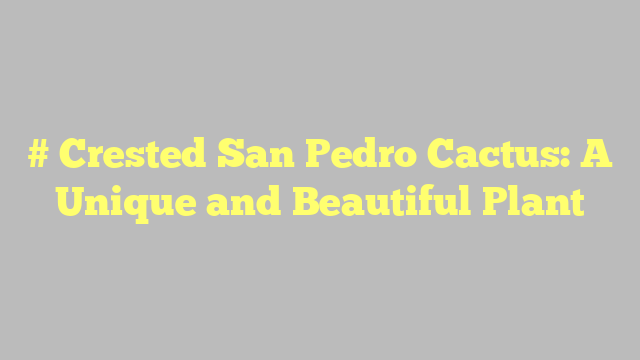 # Crested San Pedro Cactus: A Unique and Beautiful Plant