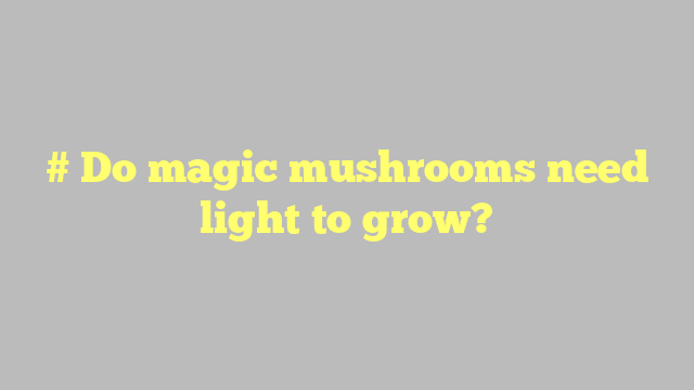 # Do magic mushrooms need light to grow?