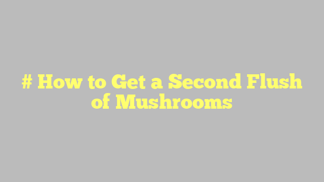# How to Get a Second Flush of Mushrooms