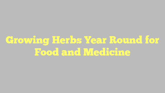 Growing Herbs Year Round for Food and Medicine