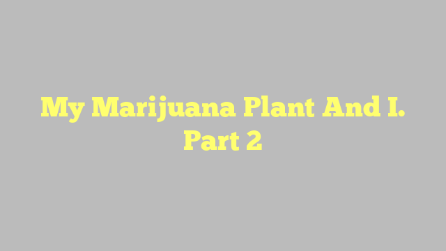 My Marijuana Plant And I. Part 2