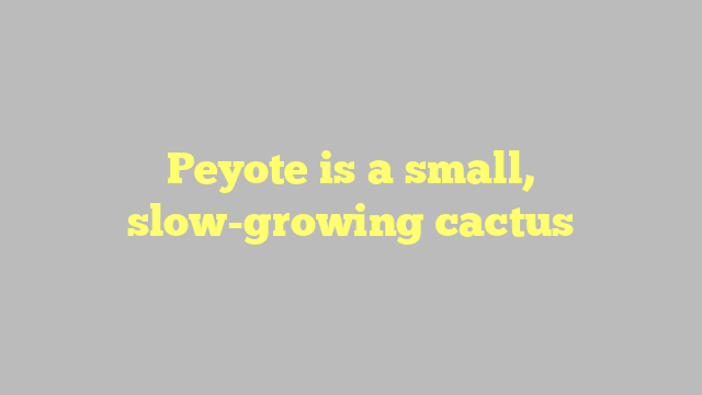 Peyote is a small, slow-growing cactus