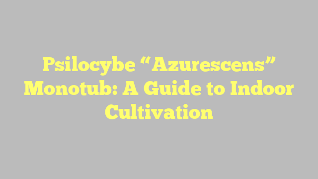 Psilocybe “Azurescens” Monotub: A Guide to Indoor Cultivation