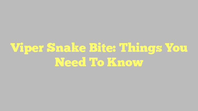 Viper Snake Bite: Things You Need To Know