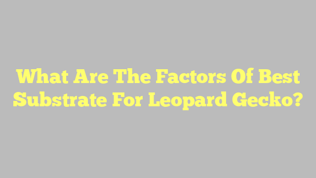 What Are The Factors Of Best Substrate For Leopard Gecko?