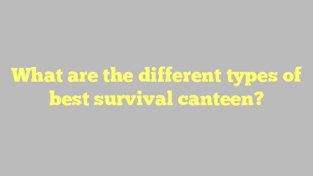 What are the different types of best survival canteen?