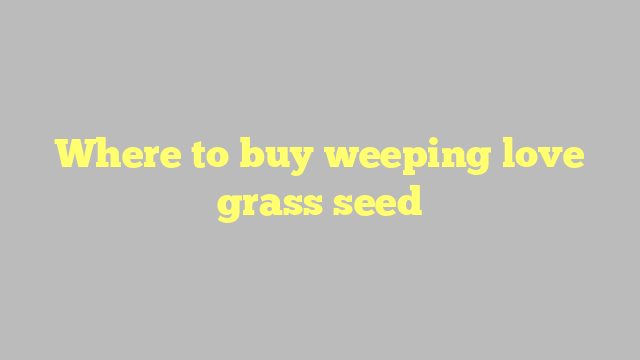 Where to buy weeping love grass seed