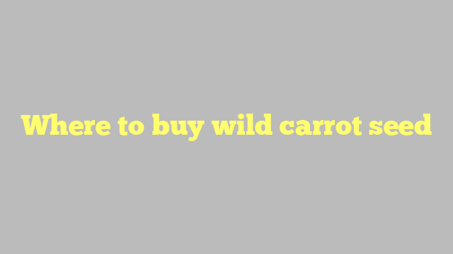 Where to buy wild carrot seed