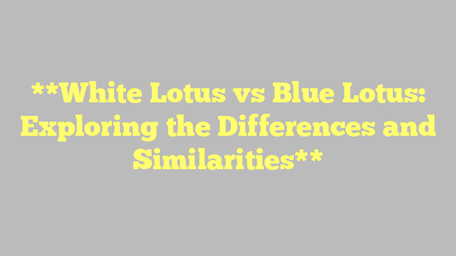 **White Lotus vs Blue Lotus: Exploring the Differences and Similarities**
